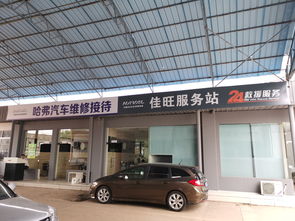 株洲佳旺哈弗荷塘店焕新启航 博宇佳业钜惠献礼