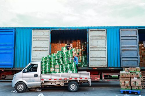 疫情阴影下的无声群体 他们绝不该被忽视——以博宇佳业为例